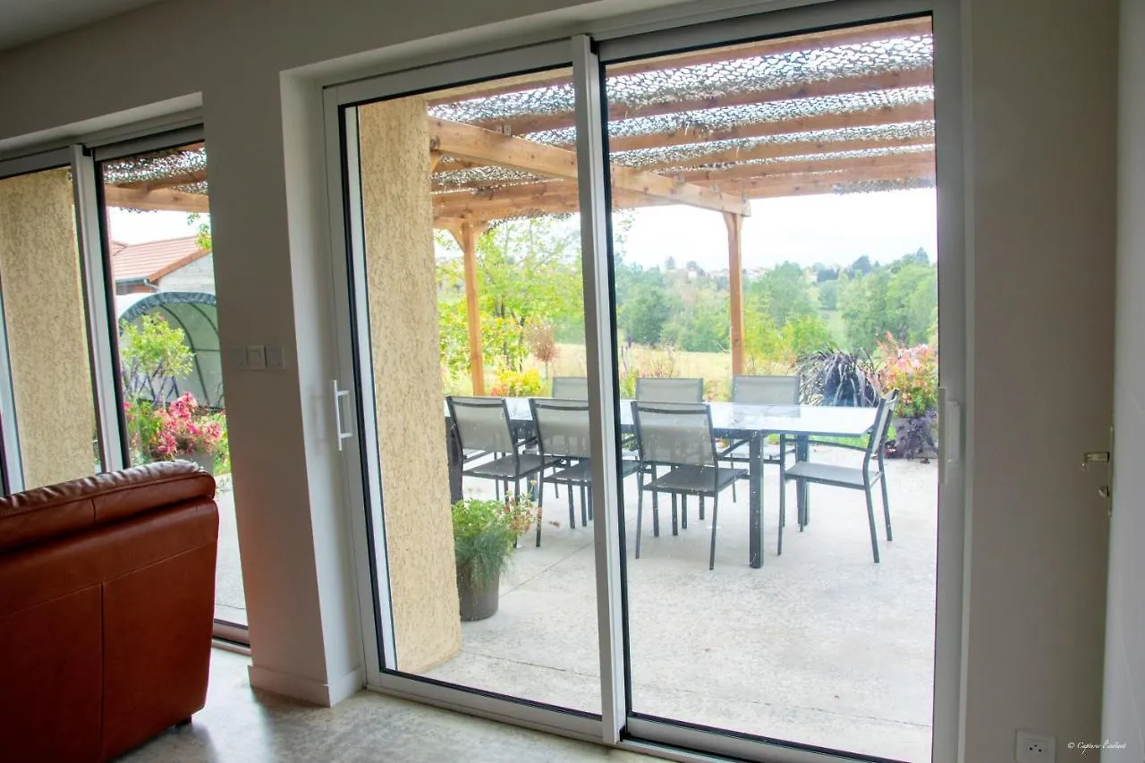 Villa Elegante A Panissieres Avec Piscine Privee 0*,