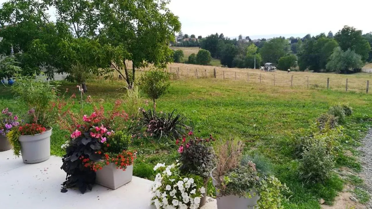 Villa Elegante A Panissieres Avec Piscine Privee